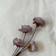 *chou✳︎（6/6〜6/7出荷❌）の画像