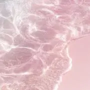 うみの画像