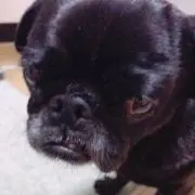 o8gi【おまとめ買い歓迎♩】の画像