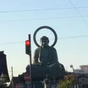 ひかりがまの画像