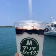 レア非売品］ヤマト運輸 不在票ブランケット でっかい感謝祭A賞 - メルカリ