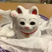 ルミルミの画像
