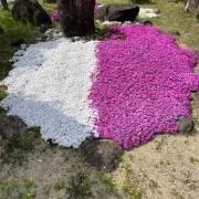 モンティ屋【即買いOK！匿名、即日発送】の画像