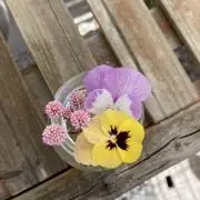 mの画像