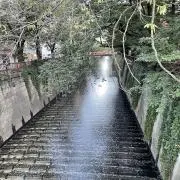 れんの画像