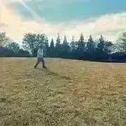 @gomaの画像