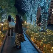 ひとみん(・∀・)の画像