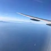 ボウラー
