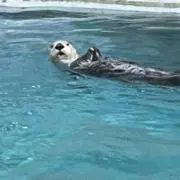 TeRAmOの画像