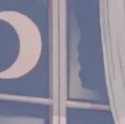 藤咲の画像