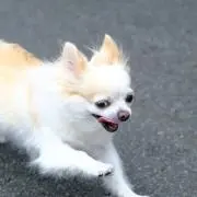 ★HIRO★の画像