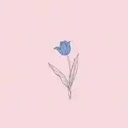 naaの画像