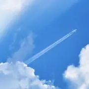 alctの画像