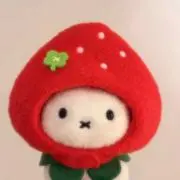Y .の画像