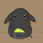 すんの画像