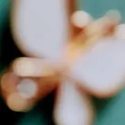 ひー☆の画像