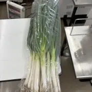 カオマンガイ山田の画像