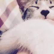 まー
