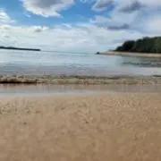 モンチッチの画像