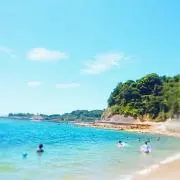 キナリの画像