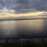 ゆとの画像