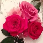 Anmama...プロフ必読♡