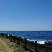 よーこの画像