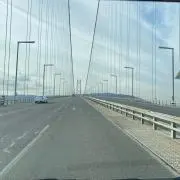フジの画像