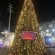 みいの画像