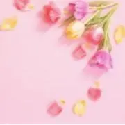 na.の画像