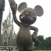 たまの画像
