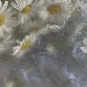 S【即購入大歓迎！】の画像