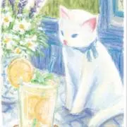 36. 白猫と朝顔〜夏が運んできた贈りもの〜【額装原画】オイルパステル
