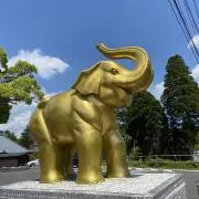 ゆったんの画像