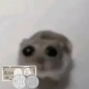 金木の画像