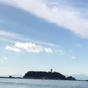sawaの画像