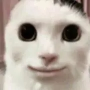 まんぜう軍
