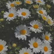 いちごみるく☺︎ プロフ必読の画像