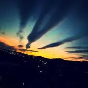 ひな