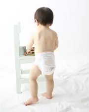 ピオニーの画像