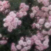 ある         プロフ必読の画像