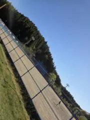 まゆげの画像