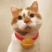 たろう