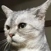 SUGAの画像