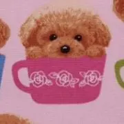 Atelier de Mochaの画像