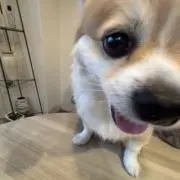 なの画像