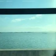 さとうの画像