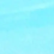 めめちゃん