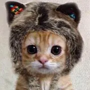marieの画像