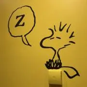 ぽんの画像